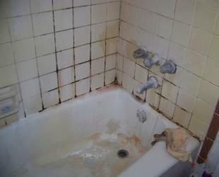 bathtub